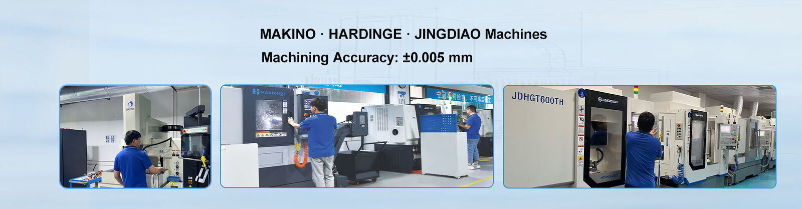 Componenti della muffa di precisione