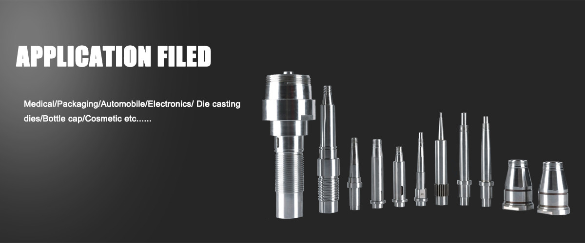 Componenti della muffa di precisione