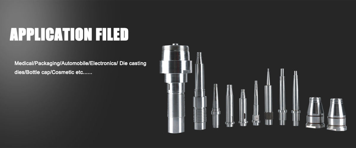 Parti della muffa di precisione