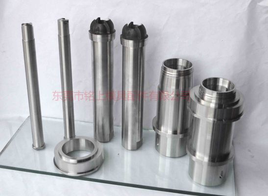 S136 Corpi di muffa a finitura speculare.